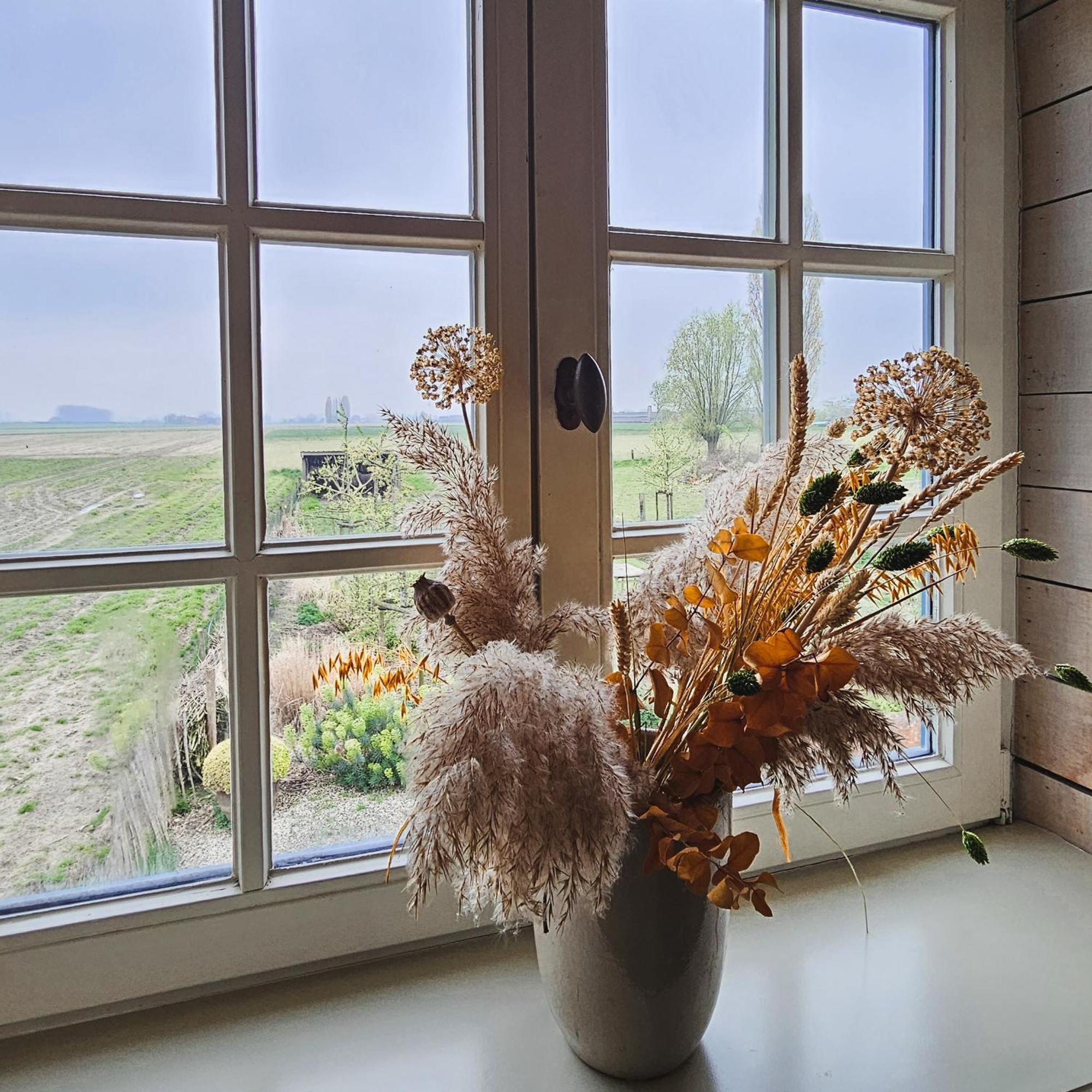 Boutique B&B Droomkerke Ruiselede ภายนอก รูปภาพ