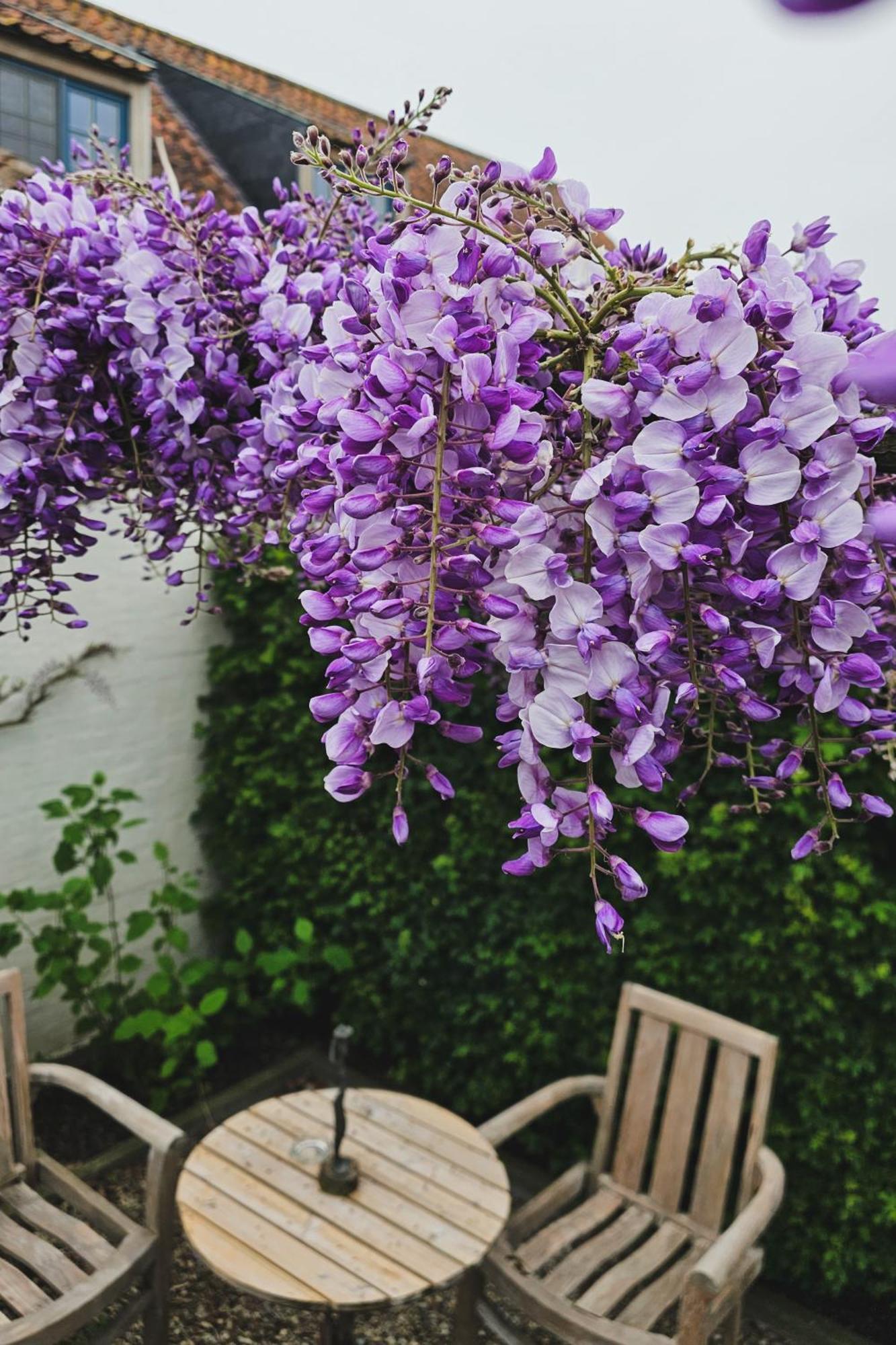 Boutique B&B Droomkerke Ruiselede ภายนอก รูปภาพ